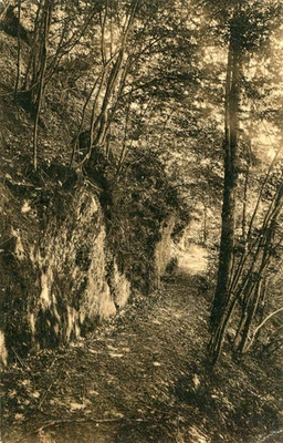 BELGIQUE BERTRIX Sentier Grotte St Remacle Dos Hôtel la Grotte Auby sur Semois - Photo 1/2