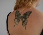 Picture 10 of 14