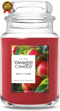 Large Jar Scented Candle with up to 150 Hour Burn Time, Premium Plant 