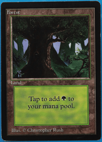Forest (C Dark Tree) Beta PLD Basic Land MAGIC MTG CARD (ID# 505238) ABUGames - Picture 1 of 2