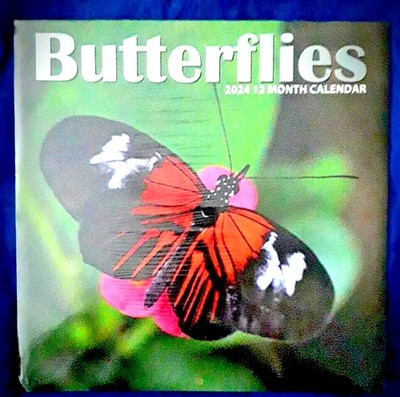 2024 ~ ''BUTTERFLIES'' Wall Calendar
