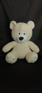 Young Living Essential Oils Diffuser Aroma White Stuffed Teddy Bear w/ Seedlings