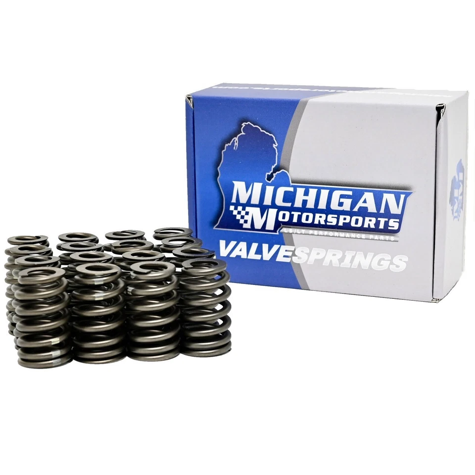Kit de árbol de levas de etapa 2 descuidado con resortes de válvula y sellos de válvula Michigan Motorsports Foto 4 de 4