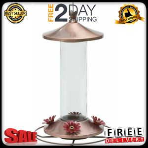 Elegant Glass Hummingbird Feeder Wide Mouth Bottle Four Flower