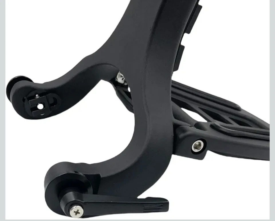 Respaldo barra Sissy multiusos para BMW R18 Harley Honda - negro NUEVO caja abierta Foto 2 de 4