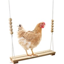 Chicken Swing- Fun  Unique Accessory- Chickens and Wild Birds
