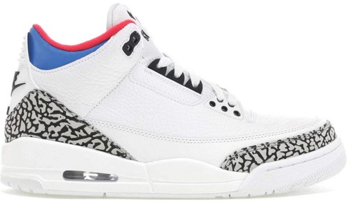 Nike Air Jordan 3 Retro sz 11.5. Animal Instinct SE Print Tiger