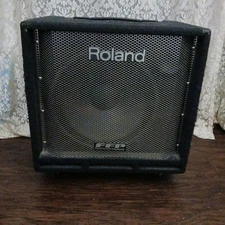 Roland Bass Amp 250watts  DB-700 D 15" speaker w/horn. 