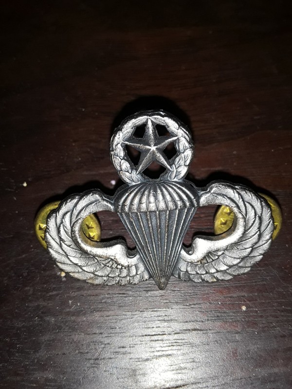 Vietnam War Era US Army D22 Paratrooper Jump Wings Master Badge Pin