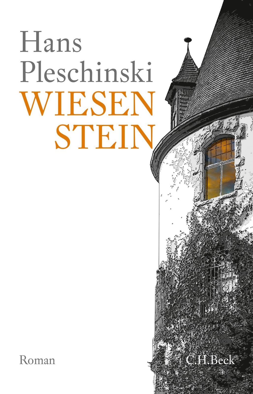 Thumbnail - Wiesenstein Hans Pleschinski
