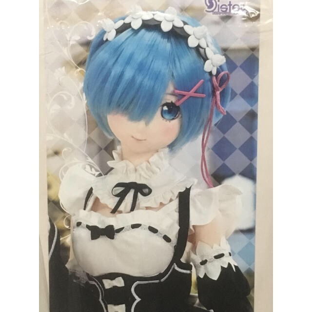 Re Zero VOLKS Rem Dollfie Dream DDS Starting Life in Another World
