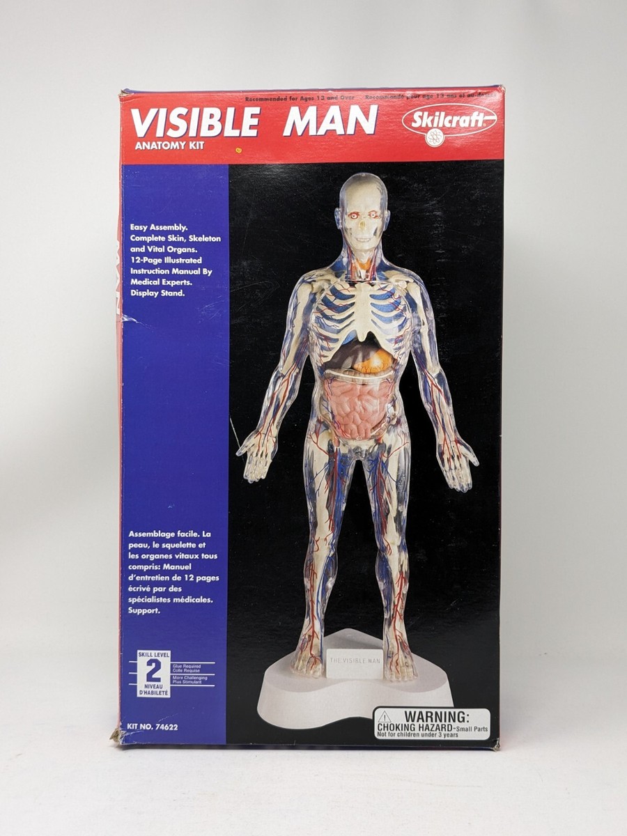 希少 Skil Craft Visible Man Anatomy Kit Visible Man Anatomy Kit #74622 Skilcraft- Open Box