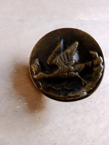 Bouton De Chasse Ancien – Motif Oiseaux – Collection