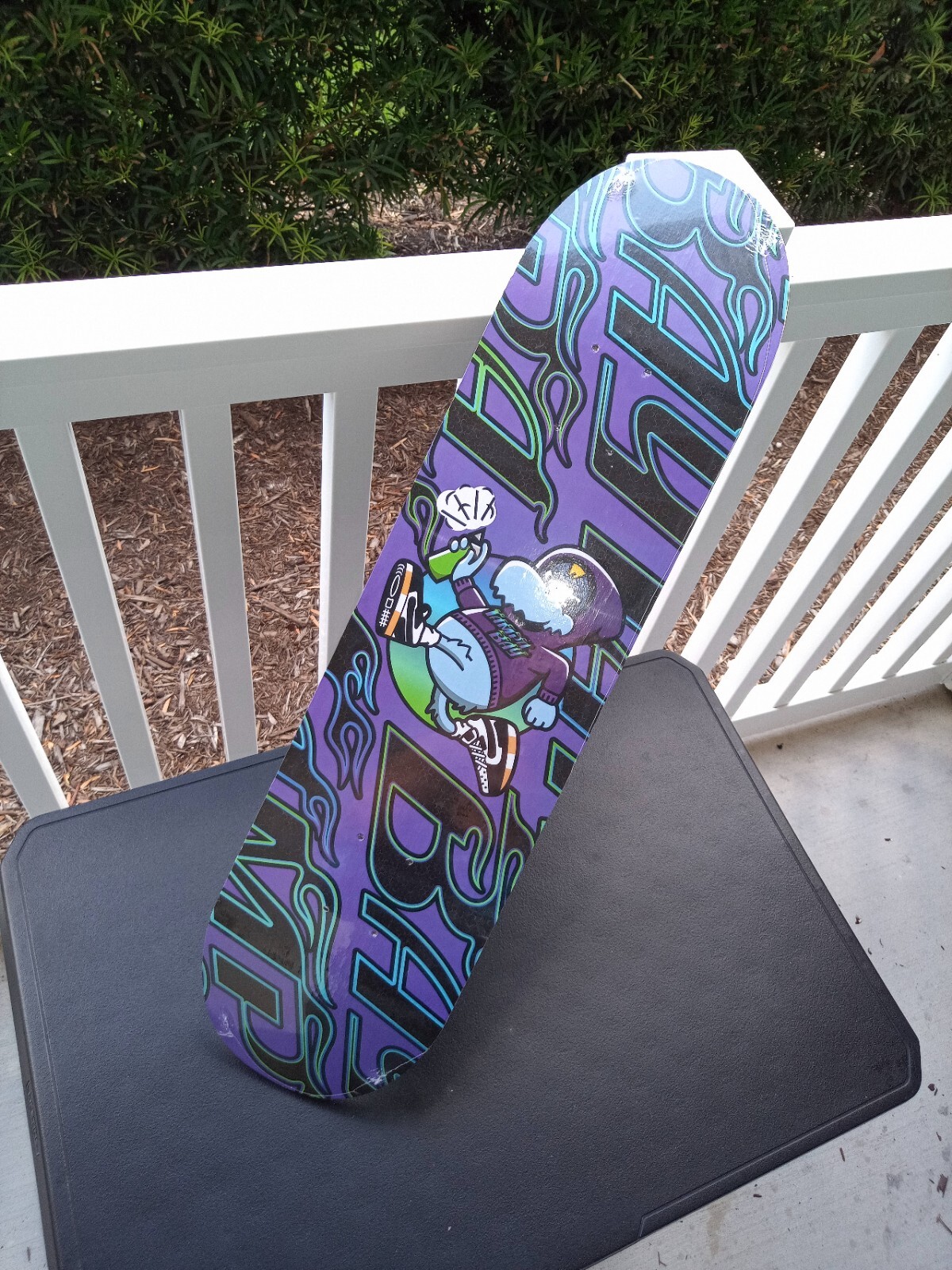 NEW Skateboard Deck ⚾  Tampa Bay Rays MLB ⚾ Bally Sports ⚾ SGA Limited Edition ⚾-image