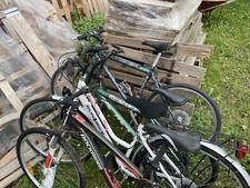 Dino Bikes Aurelia Plus 24 Bicicletta per Bambini - Verde