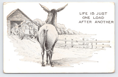 c1924 Donkey Comics 'Life Is One Load After Another' Postcard Glenford OH