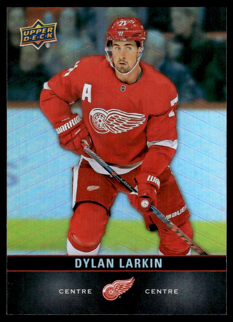 Dylan Larkin 2019-20 Upper Deck Tim Hortons #110 NHL CARD Detroit Red Wings