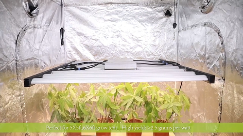 Phlizon FD8000 LED Grow Light espectro completo UV/IR plantas de interior Veg Flower lámpara - Vídeo 1 de 1