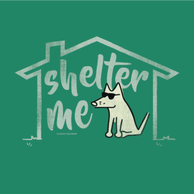 NEW Teddy the Dog T Shirt - ''Shelter Me'' V Neck Kelly Green  - Choose size S,M,L