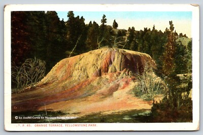 Orange Terrace Yellowstone Park Wyoming WY Vintage Postcard