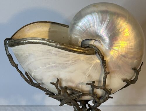 Nautilus Shell In Artisan Crafted Silver Bronze Ocean Sea Floor Themed Pedestal - Picture 2 of 17