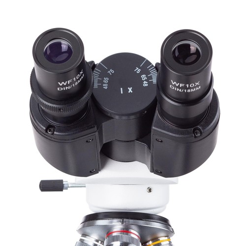 Microscopio compuesto binocular digital AmScope 40X-2000X con escenario 3D + cámara - Imagen 7 de 12