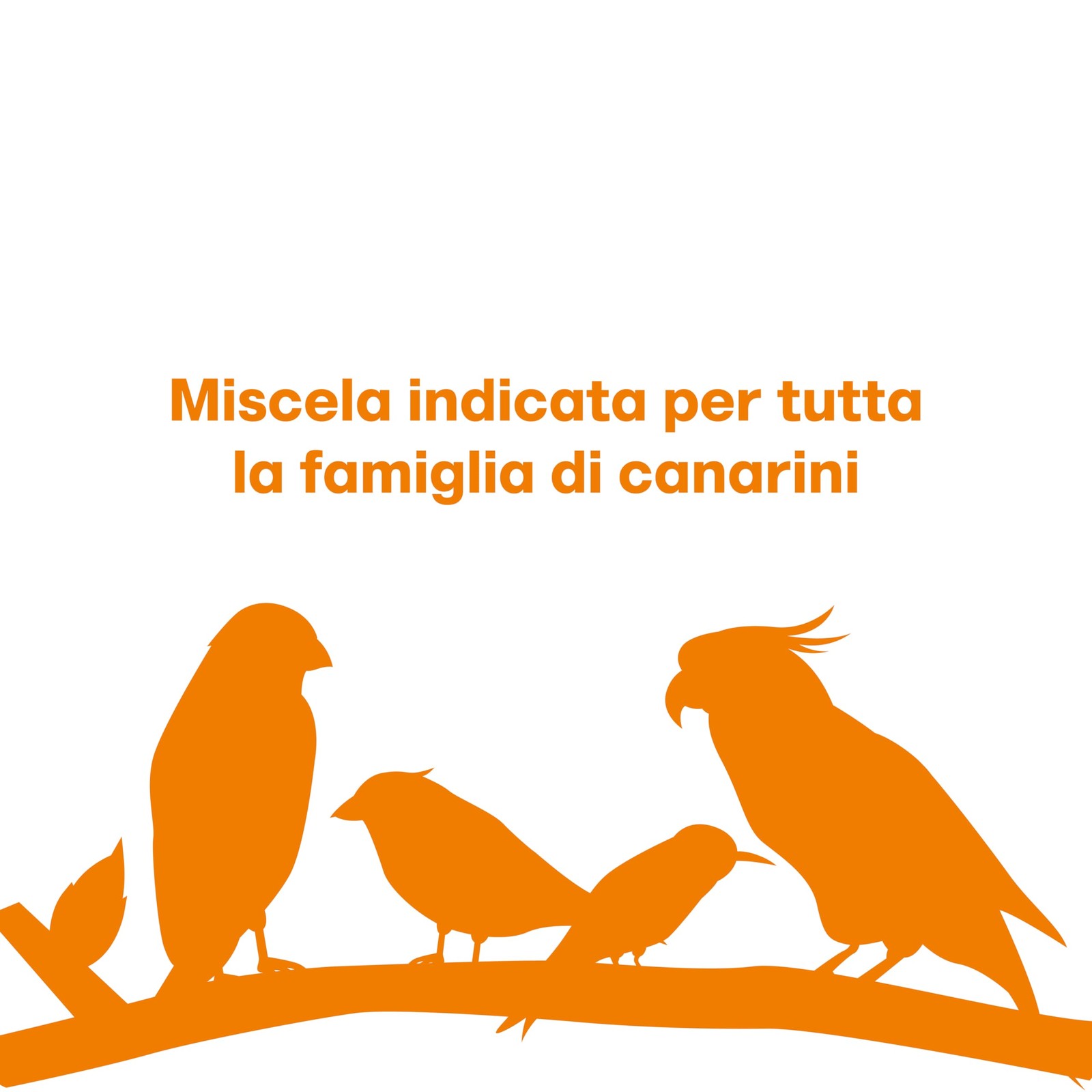 Foto 14 di 24