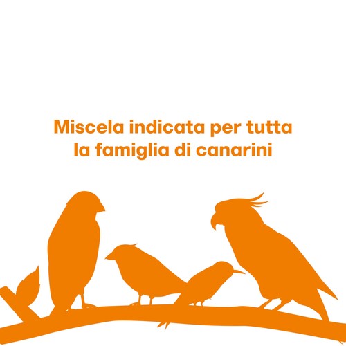 MISCUGLIO per CANARINI Formula Ricca di Semi Selezionati Adatta per Tutto L Anno - Foto 14 di 24