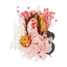 Nat&uuml;rliches Getrocknetes Blumen-Set, Gepresste Blumen (Rosa)