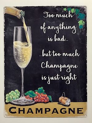 Champagne Too Much of Anything - Blechschild aus Metall