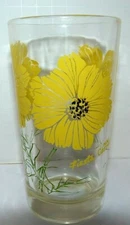 Boscul Fiesta Cosmos Glass Tumbler EUC Swanky Swig