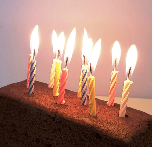 Display Box Bulk 576 Candles Birthday Celebration Party Cake Coloured 24box x 24 - Picture 6 of 11