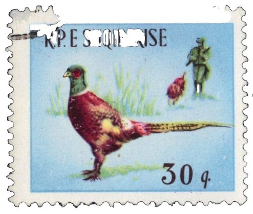 Permis De Pêche Et Chasse Colorado 1971 - RW38 - 110 - Document Vintage
