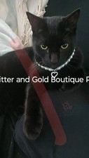 Digital Image Picture Photo Fancy Cat W Necklace
