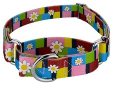 Country Brook Petz  Spring Daisies Martingale Dog Collar