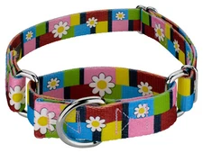 Country Brook Petz® Spring Daisies Martingale Dog Collar