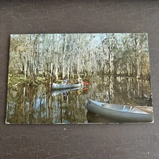 CANOE Postcard Canoeing moss cover near Tom Gaskins Cypress Kneeland Palmdale FL