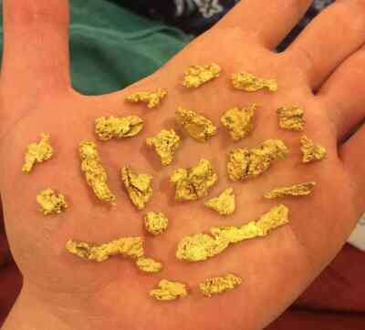 12 oz GOLD PAYDIRT unsearched and added gold panning alaska concentrates