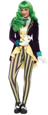Wicked Trickster Adult  Halloween Costume