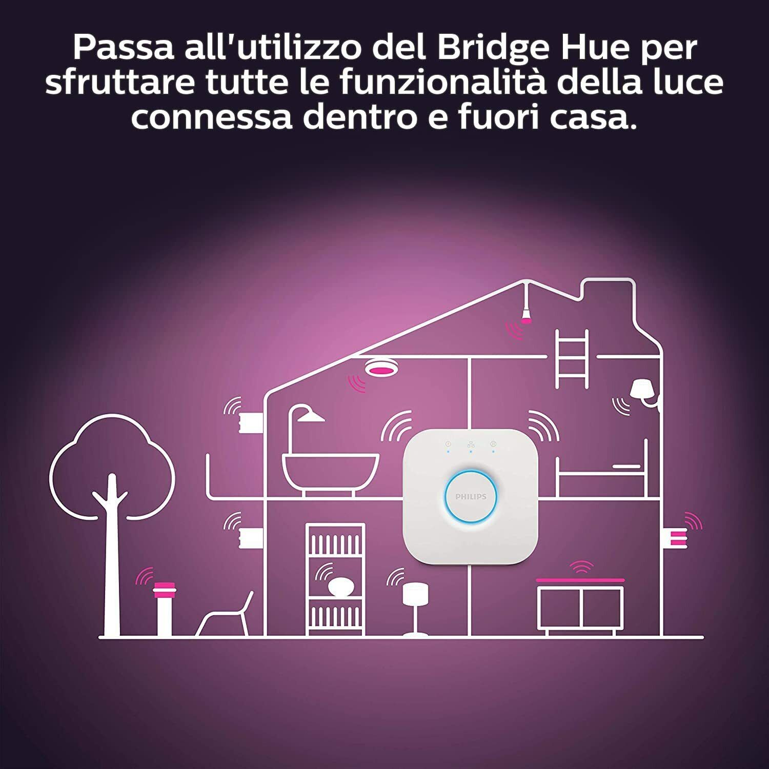 Imagen 5 de 8