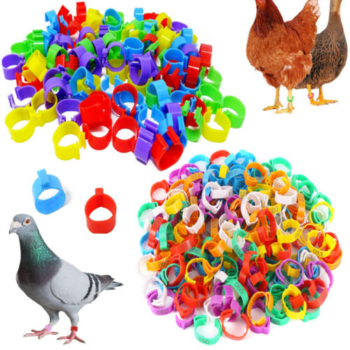 Leg Bands Plastic Chicken Pheasant Poultry Duck Bird Leg Rings ID Tags - Picture 1 of 22