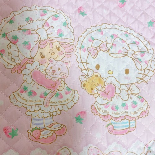 Sanrio Hello Kitty Strawberry Shortcake Lesson Tote Bag Pink Ribbon Kawaii Japan - Picture 15 of 24