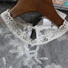 Bild 7 von 12