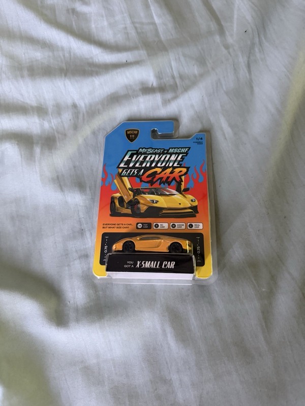 MR BEAST “Everyone Gets A Car” Collectible 1/64 Diecast Lambo Lamborghini