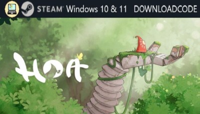 NEU PC Computer Spiel Hoa für Windows 10 11 STEAM Download Code Game Key Email