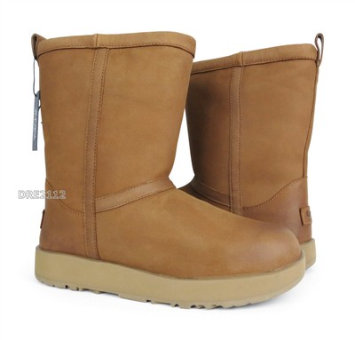 ugg classic short waterproof boot in chestnut