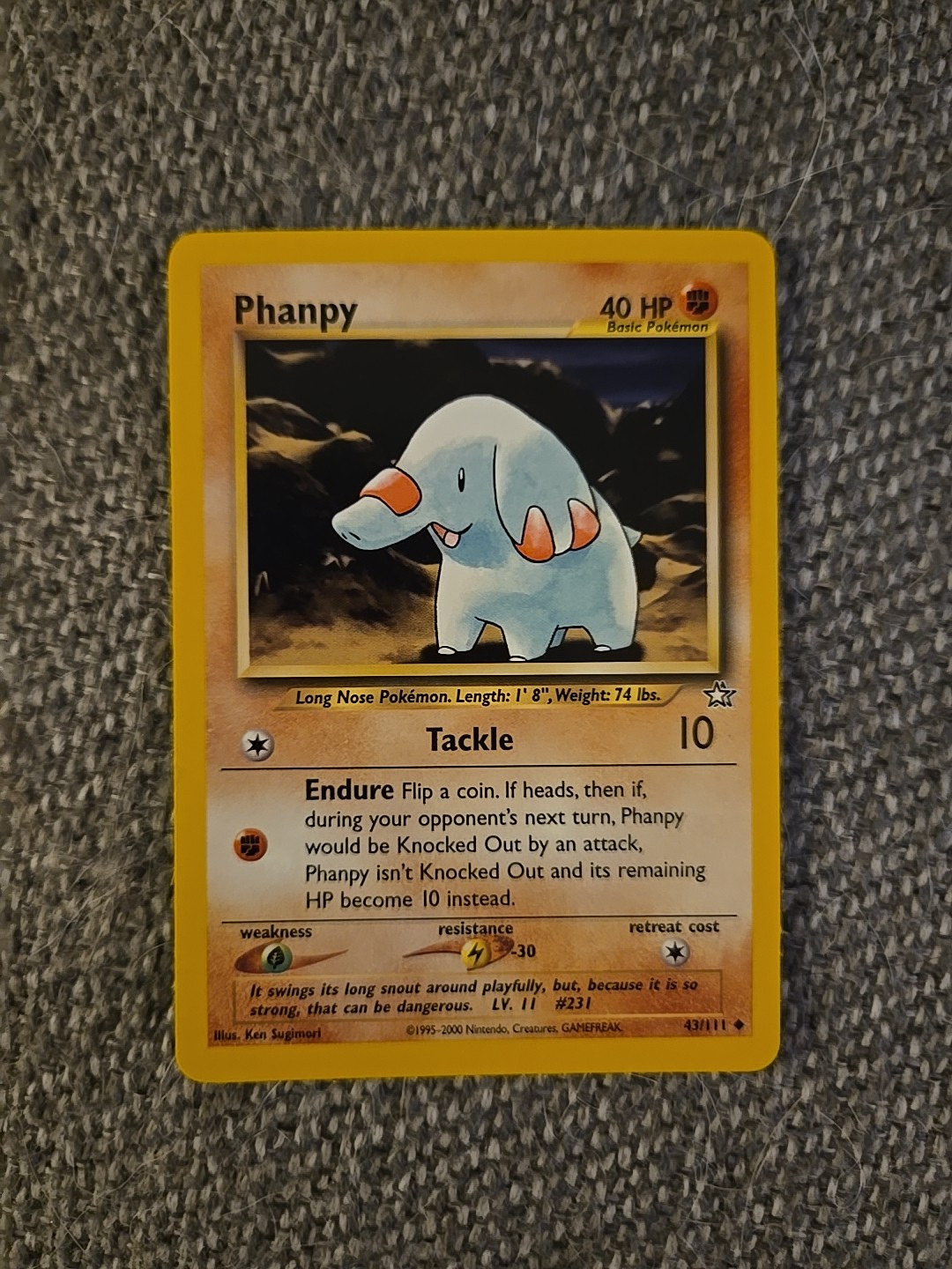 Pokemon Phanpy (43/111) Neo Genesis NM