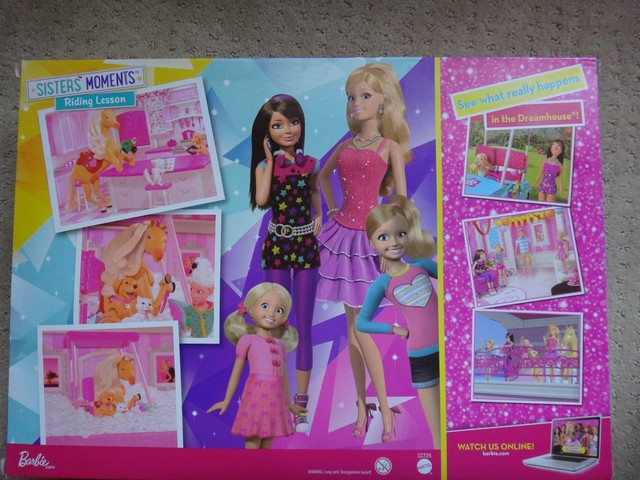barbie doll horse riding lesson set
