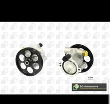 Power Steering Pump PSP6305 BGA PAS 1193200Q0A 4911000Q0D 4911000Q2L 4911000QAG