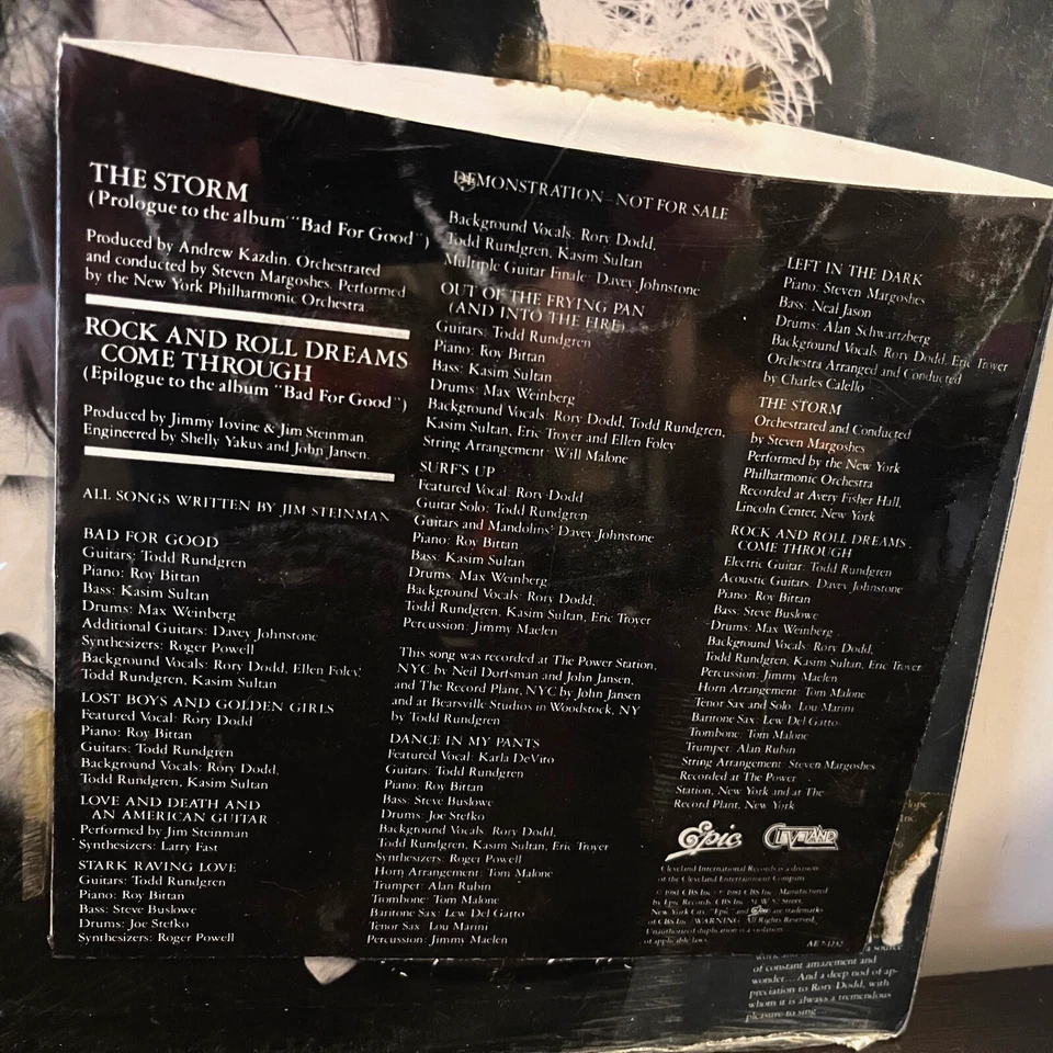 JIM STEINMAN - Bad For Good (w/ 7" EP) (1981) - 12" Vinyl Record LP - EX - Image 3 of 4
